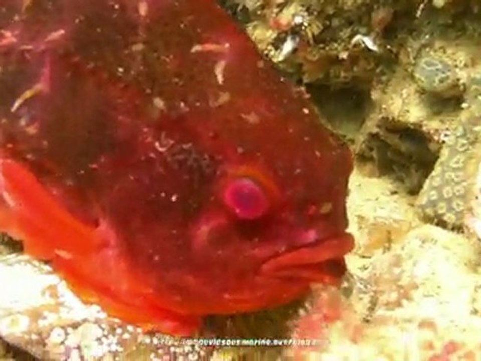 rockfishing1