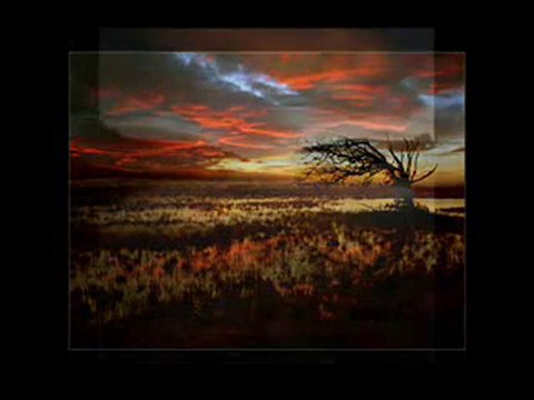 kazım koyuncu anılar düştü peşime