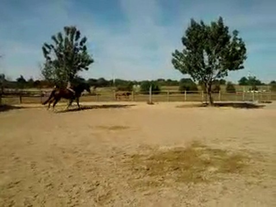 Petit saut à cru ^^