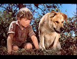 Old Yeller (1957) Part 1 of 15