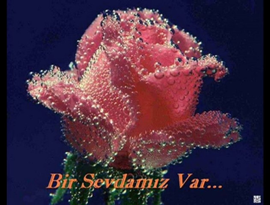 Nakşibende Dost - Mahmut Durgun