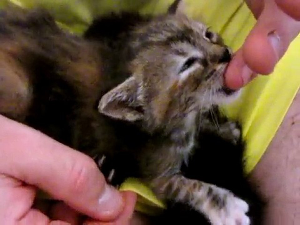 Shana dort et Olyanna tète 002