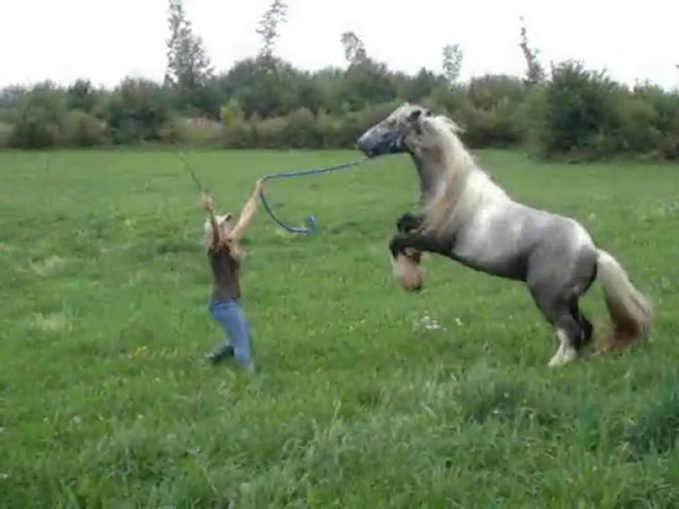 Jarny Mélie Tao Wako