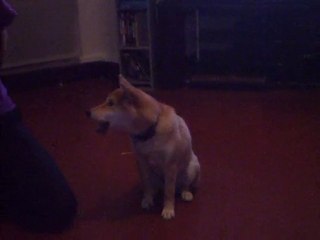 Fuji mois demi quelques tours