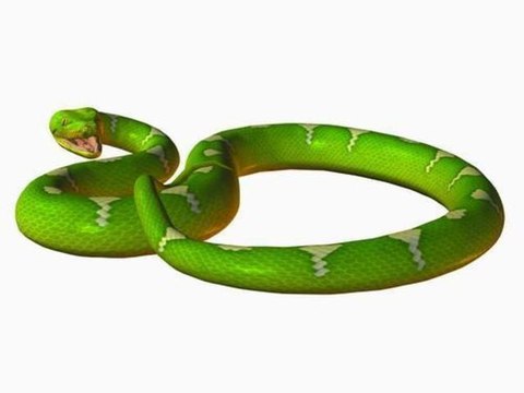 Zelda the minish cap 9) Le marais aux serpents