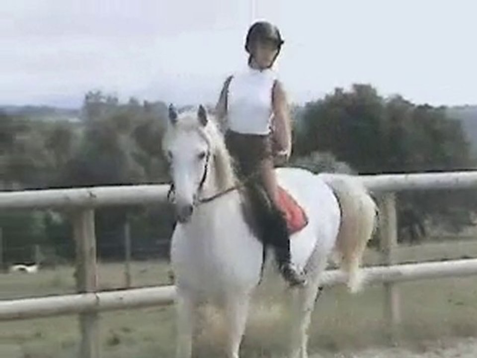 murielle le 28 aout