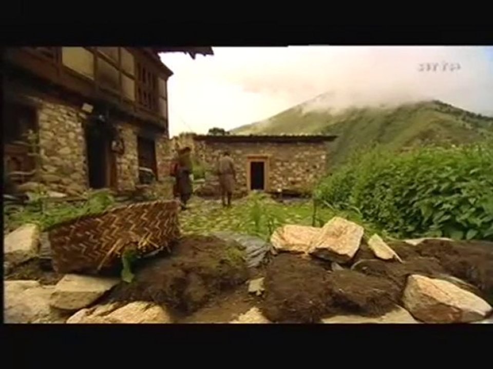 Plantes Medicinales partie 1