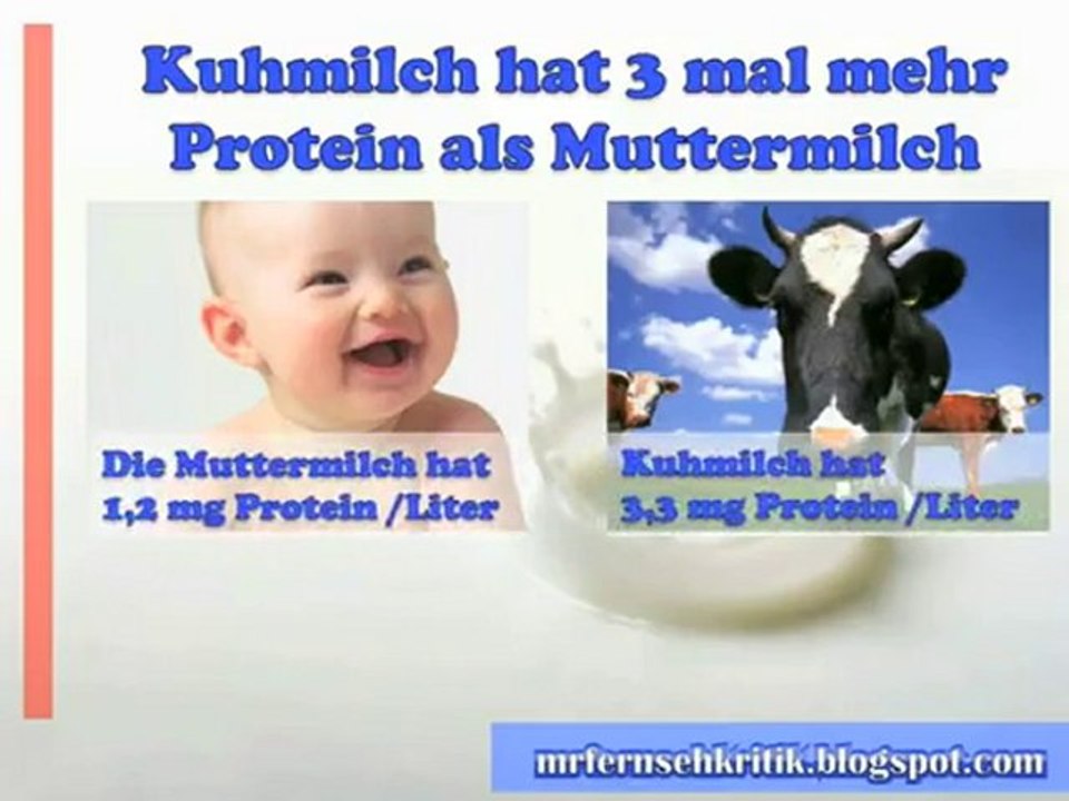 Verschwiegene Fakten zu Milch