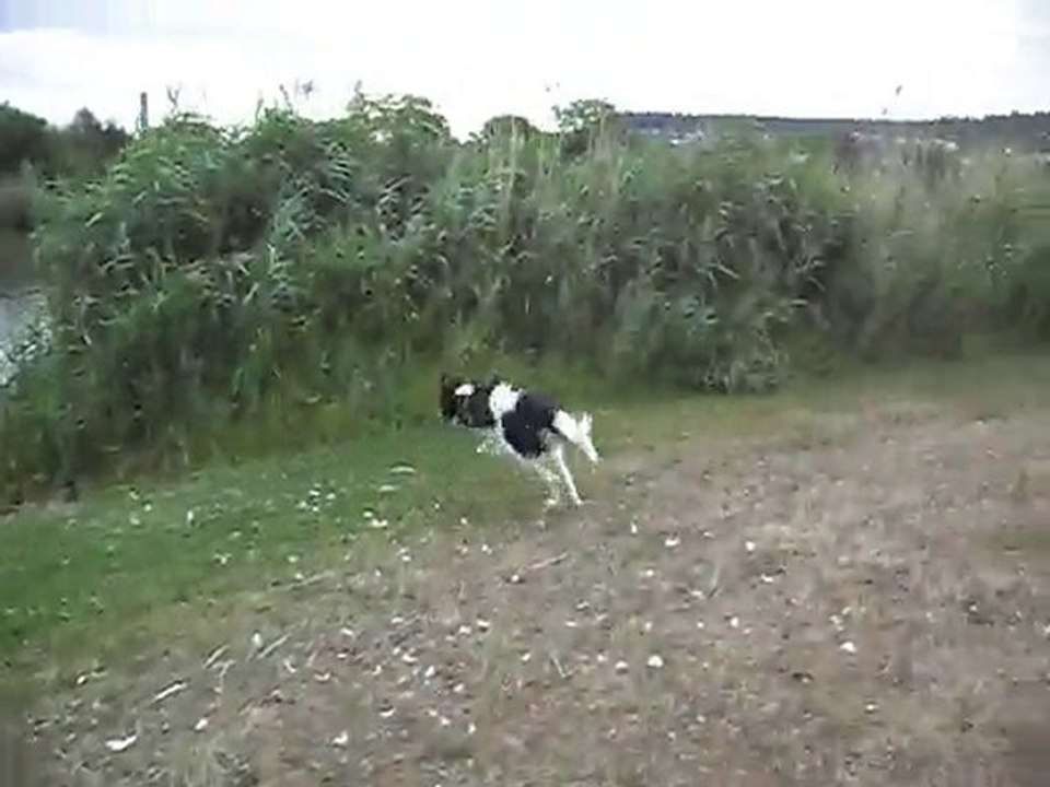 Kirov, 22/07/2010 _2