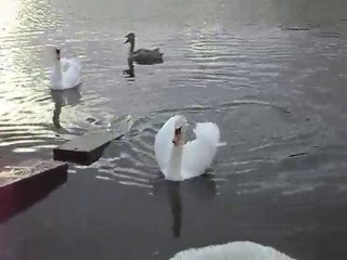 Kirov, 22/07/2010 _4