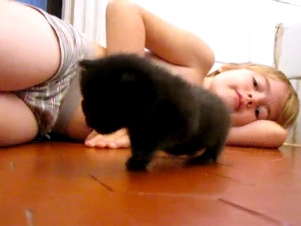 Nathan et les petits chatons d'un mois