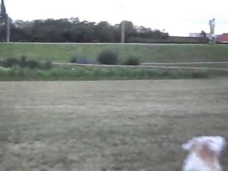 Kirov et Noureiev 22/07/2010 _1