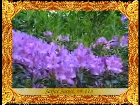 Hz. İbrahim kıssası: Hz. İbrahim ve oğulları