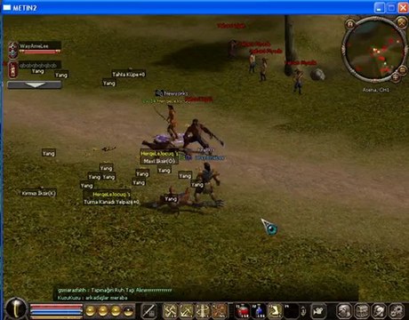 metin2 hile bildirimi1