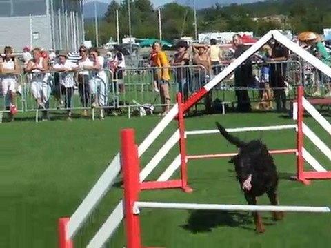 After Jump Finale trophée par équipe 2010