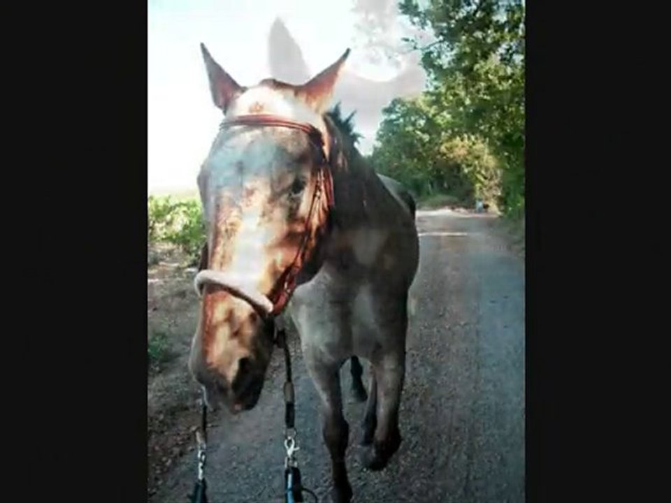 Balade en main 28/08/10