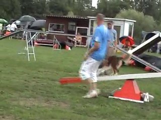 Toul 2010 - Epreuve G.P.F. et Jumping