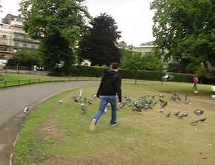 Londres et les pigeons Slow Motion