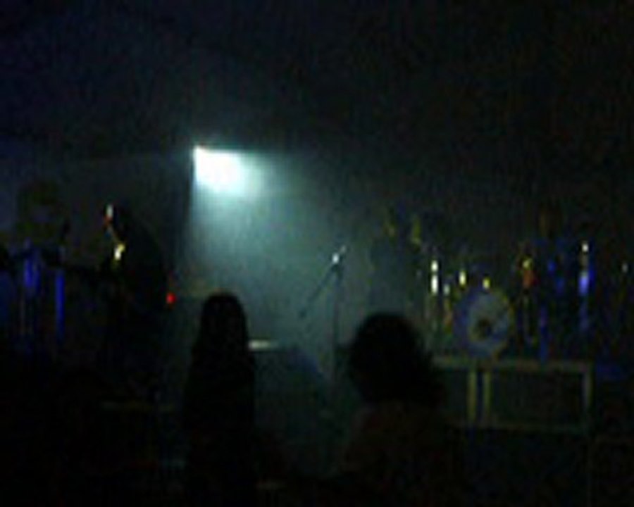 Vaques Fest - Black Panthys Party