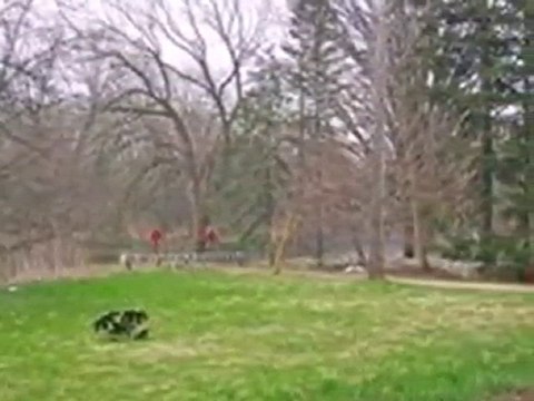 Homes for Sale - 4828 W Donges Bay Rd - Mequon, WI 53092 - C