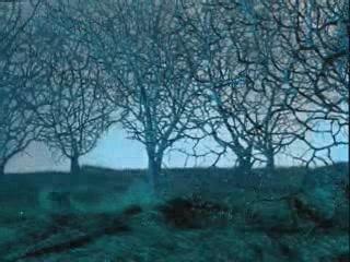 Devendra Banhart - A Ribbon