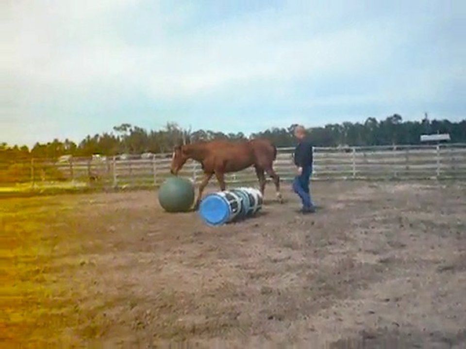 jeu ballon pat pareilli