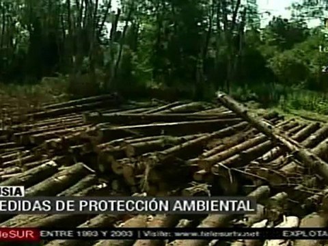 Triunfo de ecologistas en Rusia: suspende el Kremlin la tala