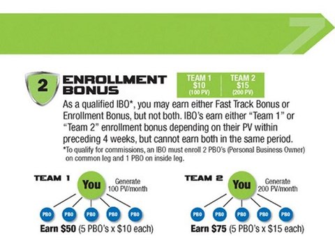 DeNovo7 Business Opportunity Compensation Part 2