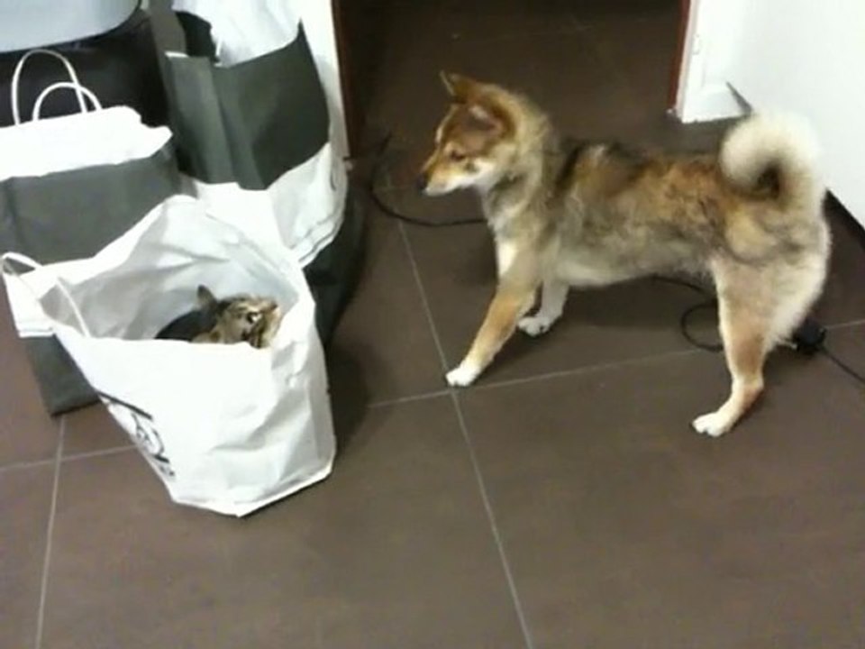 nala&eve