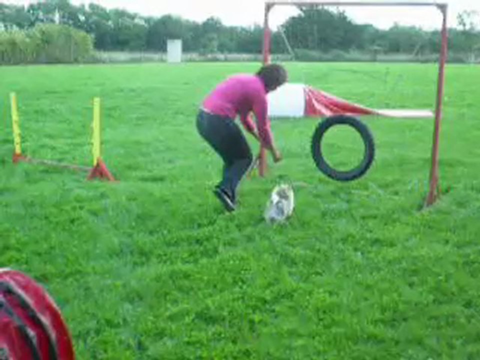 fêtiche 6 mois premier pas Agility