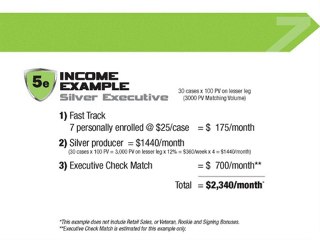 DeNovo7 Compensation Plan Part 5B Business Opportunity