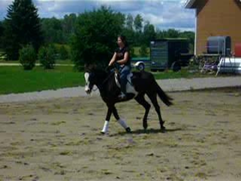 Photo 198