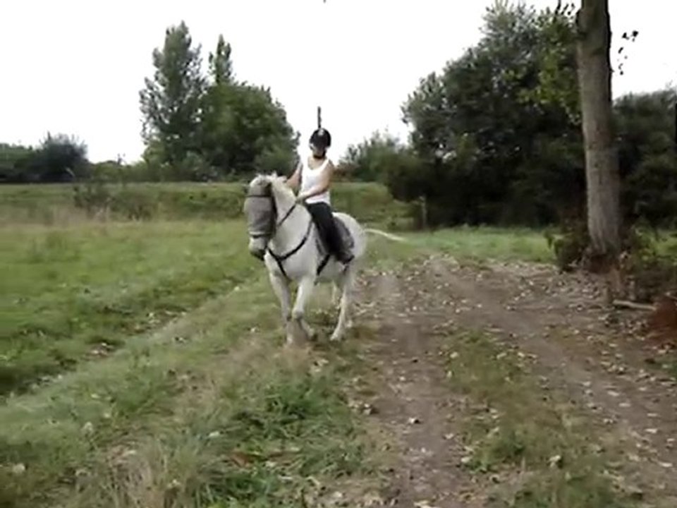 Noémie & moi . Le début du Travail .