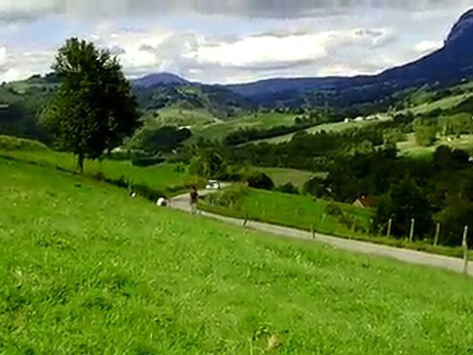 Clio II RS rupteur rallye de chartreuse 2010