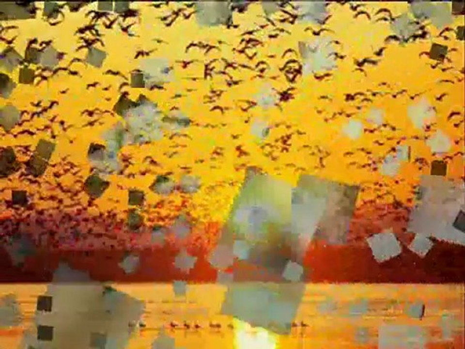 ferhat tunç bugün değil yarınsın sen