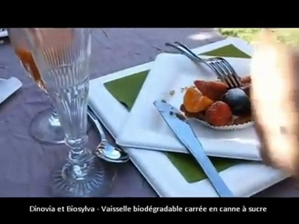 vaisselle jetable carrée en canne à sucre - www.dinovia.fr