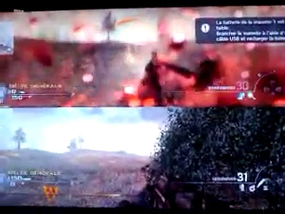 bug sur wasteland