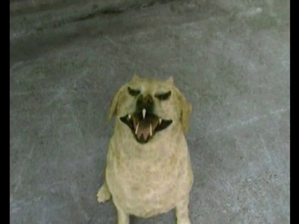 demon dog