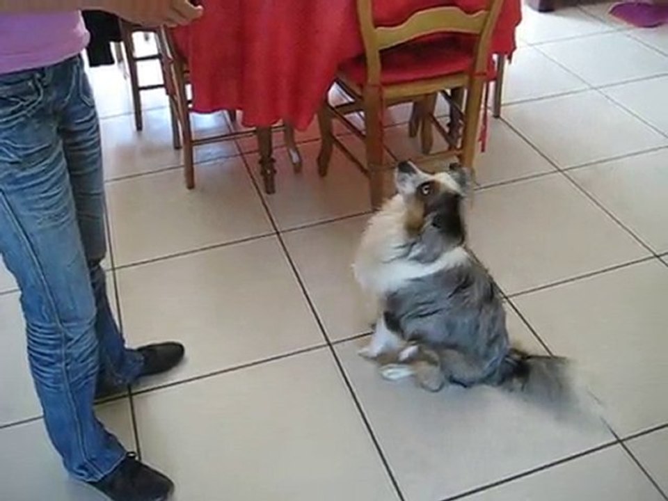 Exercice d'OBE