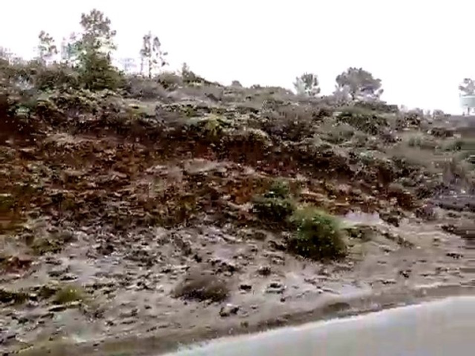 INUSUAL NEVADA EN ESTEPONA (COSTA DEL SOL)- https://www.jardineromarbella.com