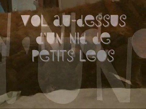 Bébés Leonbergs Vendémiaire