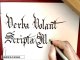 Gothic calligraphy - Calligraphie gothique II