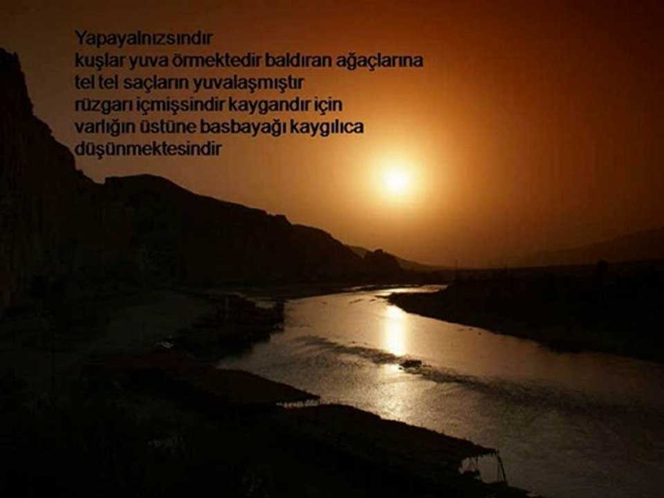 YAPAYALNIZSINDIR