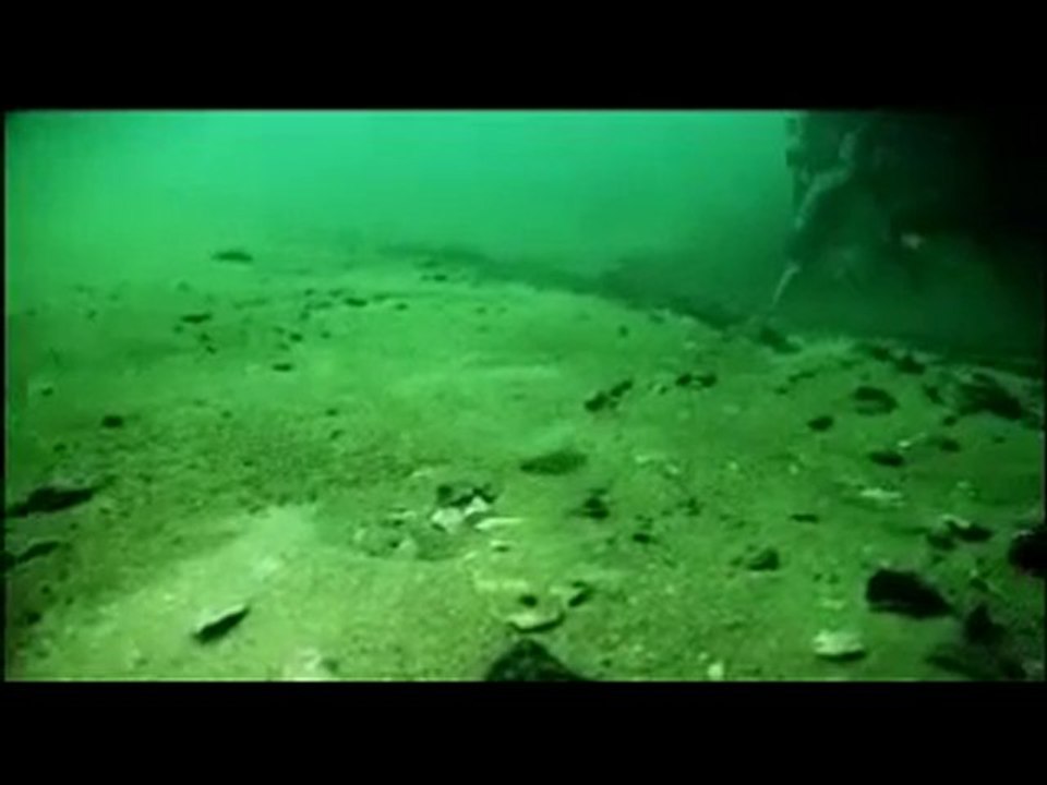 Le Fabuleux Monde Aquatique