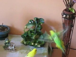Bıcı Bıcı Yaparız Dalinle Bıcı Bıcı Yaparız=)