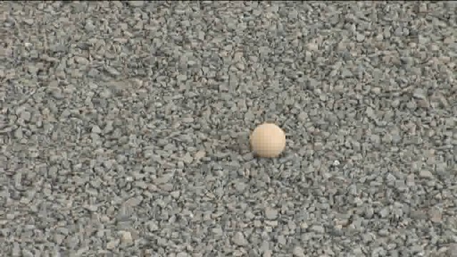 Pétanque: le deuxième national de Herstal 2010