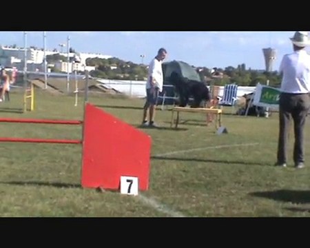 Dominique & Chips Concours Agility à Saintes 28 Août 2010.