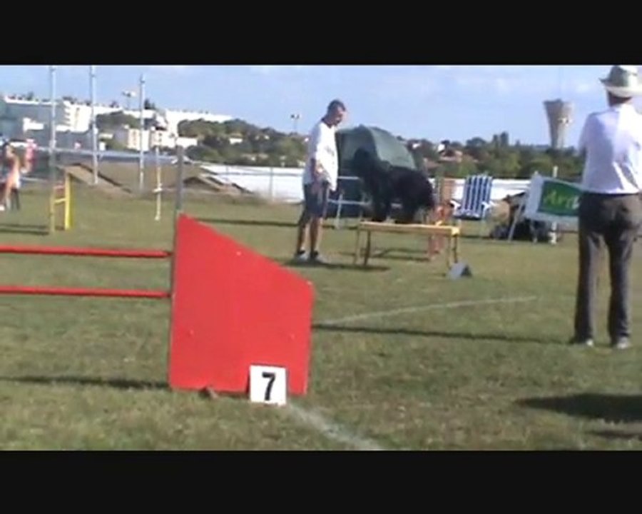 Dominique & Chips Concours Agility à Saintes 28 Août 2010.