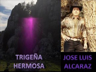 TRIGUEÑA HERMOSA: JOSE LUIS ALCARAZ