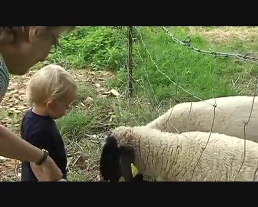 Naël et les animaux_0001